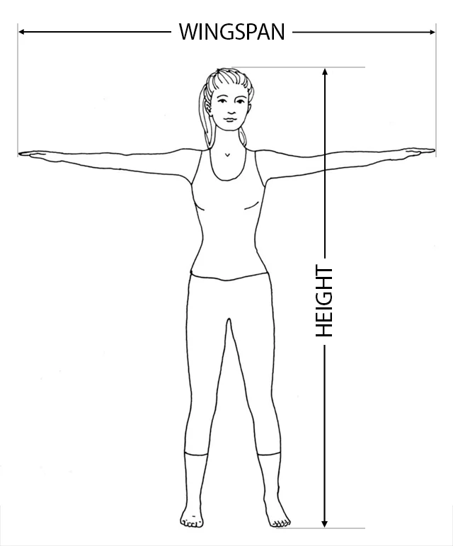 Ape index (Height and Wingspan)